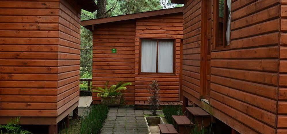 Cabanas Monte Alto Hotel Boutique Valle de Bravo Dış mekan fotoğraf
